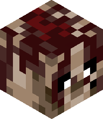 SilverrDraugr's head