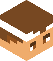 Falkonstriker's head