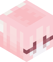 Cutest_Kitty_Cat's head