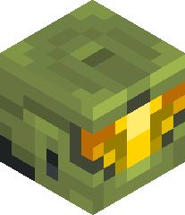 Zombieslayerx007's head