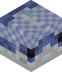 WahooMaster600's head