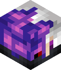 Shadowmaster1417's head