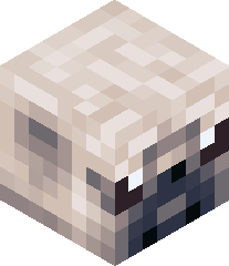 CommanderYeets's head