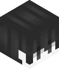 PojawLauncher's head