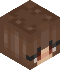 2005Blocks's head