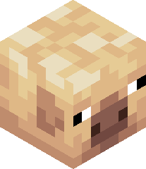 YonebayashiYiii's head