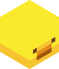 PadraTheQuacker's head