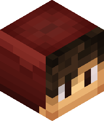 CrasherKingYT's head