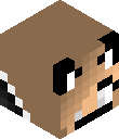 Minecraft Player Head