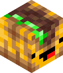 AdolfoTheTaco's head