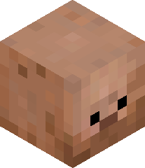 MerryBerryTerry's head