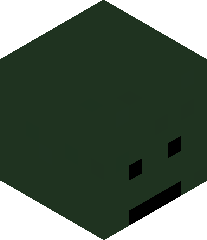 Ender_dude3's head