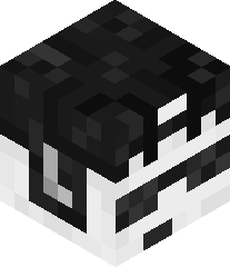 JetPilot1111111's head