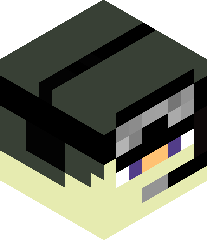 SolidLotus63400's head