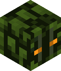 LordSpineKnuckle's head