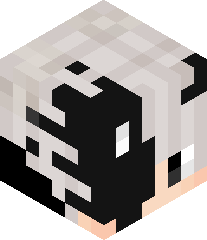 TheNorthGamer's head