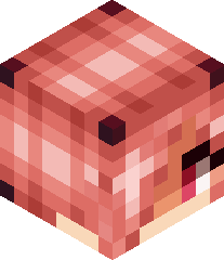 DaRealPrestcraft's head