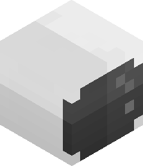 Trickshotohya's head