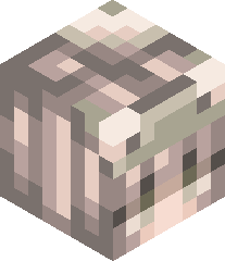 AgentChicken156's head