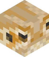 RampageRey123's head