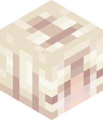 PixiedustUnicorn's head