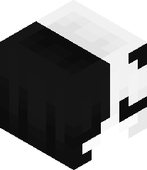 XxSpadesxX_1911's head