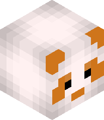 Orange_Panda2017's head