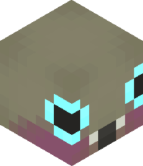 africanpigeon's head