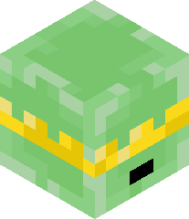 slimefrags's head