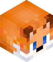 Terminator960's head