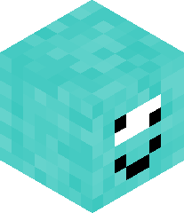 MintCraftt's head