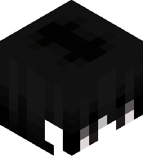 Mr_Igormietek21's head