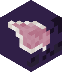 snowybagel3234's head