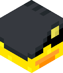 _SoloDuck_'s head