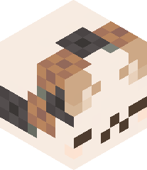 cinnamon_pancake's head