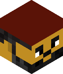 Sherbazkhan11's head