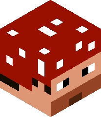 iamaroxstar900's head