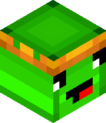 MrTurtleGamer's head