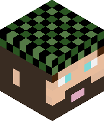 BobbyswaggerXD's head