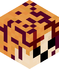 villager4072's head