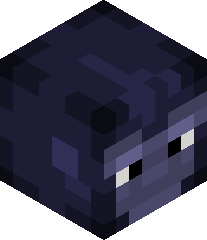 Riley_hello13's head