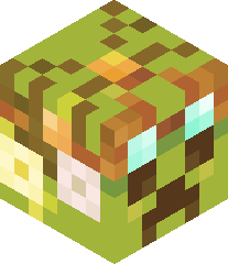 PatlayanCreper8's head