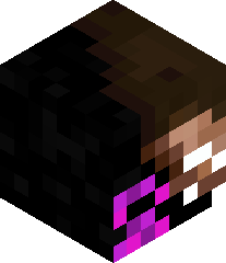 AwesomeGamerTV8's head