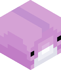 dolphinsnmonkeys's head