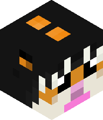 StoodSumo657621's head