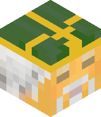 NebulaJokester68's head