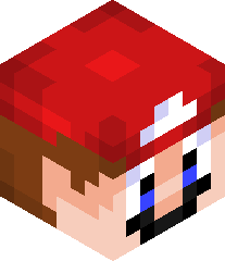 IslamMakhachev23's head