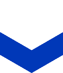 IsraeliTralalero's head