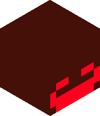 AwesomeMan015's head