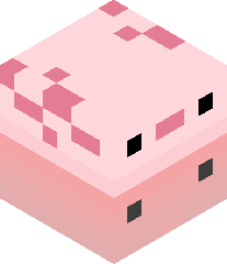 _axolotlg's head